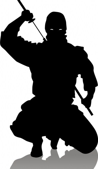 an awesome ninja